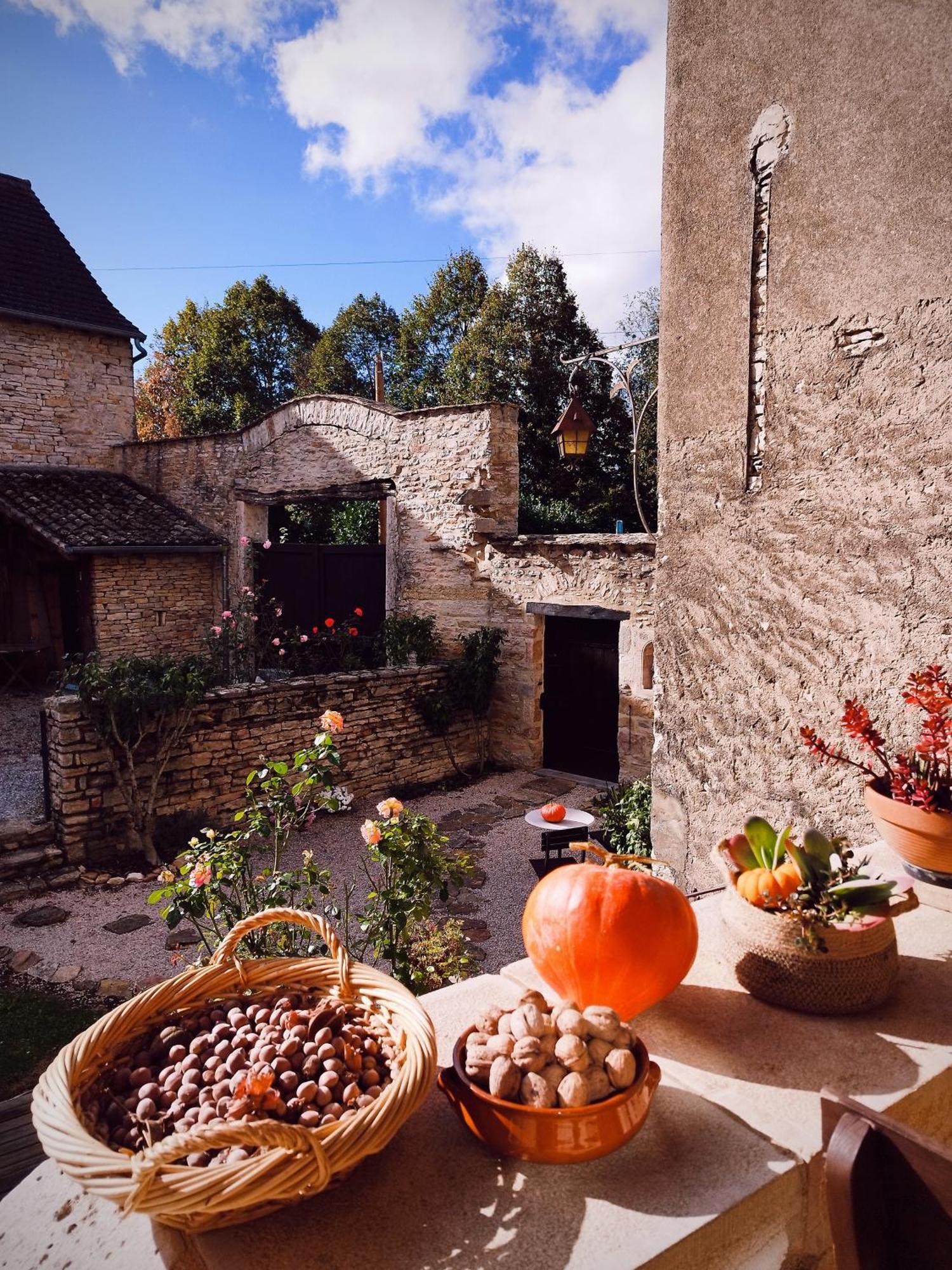 La Baudiniere, Chambre "La Chelidoine", Boyer Exterior photo